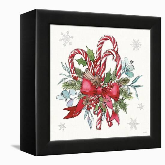 Signs of the Season II-Anne Tavoletti-Framed Stretched Canvas