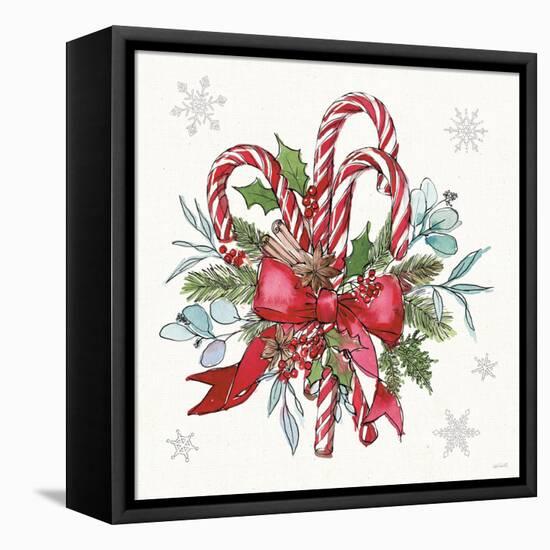 Signs of the Season II-Anne Tavoletti-Framed Stretched Canvas