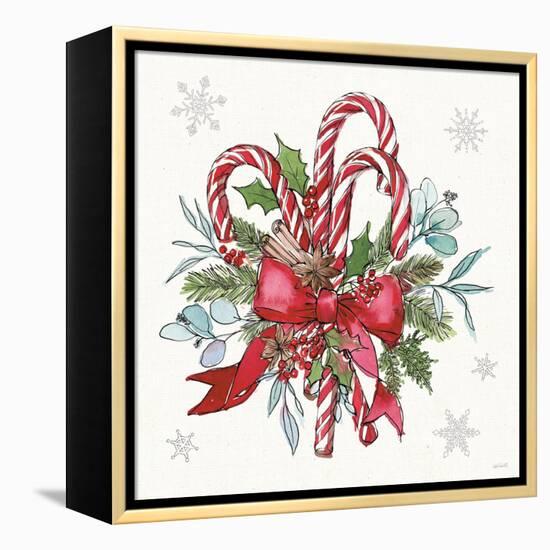 Signs of the Season II-Anne Tavoletti-Framed Stretched Canvas