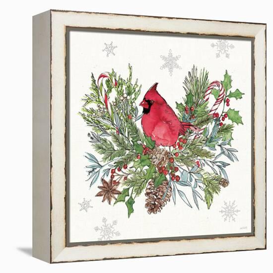 Signs of the Season III-Anne Tavoletti-Framed Stretched Canvas