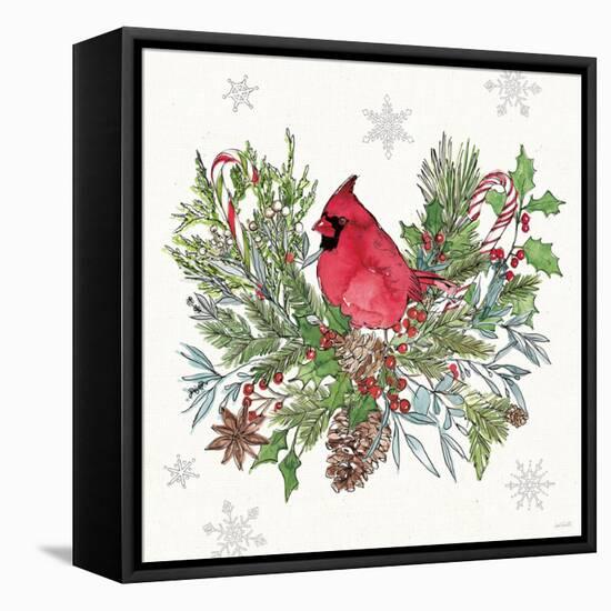 Signs of the Season III-Anne Tavoletti-Framed Stretched Canvas