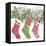 Signs of the Season IV-Anne Tavoletti-Framed Stretched Canvas