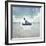 Signs_SeaLife_Kayaker-LightBoxJournal-Framed Giclee Print