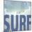 Signs_SeaLife_Typography_JustSurf-LightBoxJournal-Mounted Giclee Print