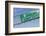 Signs, South Miami, Florida Keys, Florida, Usa-Axel Schmies-Framed Photographic Print