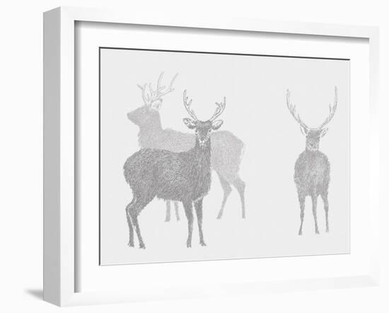 Sika Deer  2017  (digital)-Sarah Hough-Framed Giclee Print