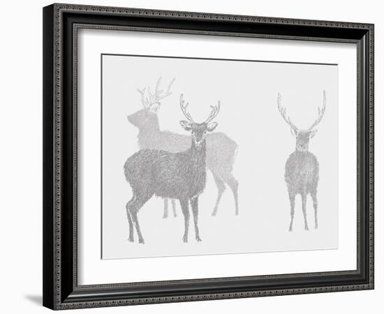 Sika Deer  2017  (digital)-Sarah Hough-Framed Giclee Print