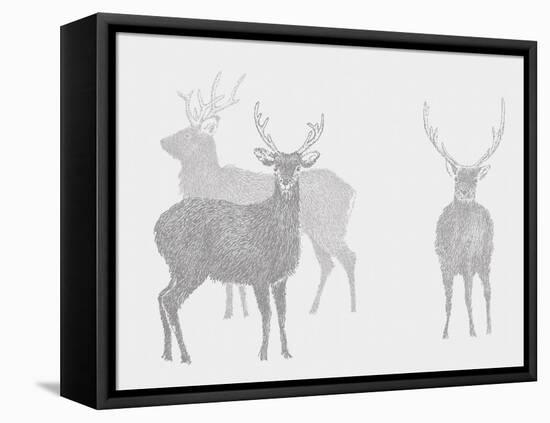 Sika Deer  2017  (digital)-Sarah Hough-Framed Premier Image Canvas