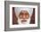 Sikh, Dubai, United Arab Emirates-Godong-Framed Photographic Print