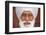 Sikh, Dubai, United Arab Emirates-Godong-Framed Photographic Print