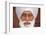 Sikh, Dubai, United Arab Emirates-Godong-Framed Photographic Print