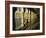 Sikh Elder at Prayer at the Golden Temple of Amritsar, Punjab State, India-Jeremy Bright-Framed Photographic Print