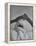 Sikh Man Demonstrating How He Finishes the Winding of His Traditional Turban around His Head-Margaret Bourke-White-Framed Premier Image Canvas