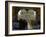 Sikhs at the Entrance to the Golden Temple, Crossing Guru's Bridge, Amritsar, Punjab, India-Jeremy Bright-Framed Photographic Print