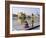 Sikhs in Front of the Sikhs' Golden Temple, Amritsar, Pubjab State, India-Alain Evrard-Framed Photographic Print