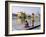 Sikhs in Front of the Sikhs' Golden Temple, Amritsar, Pubjab State, India-Alain Evrard-Framed Photographic Print