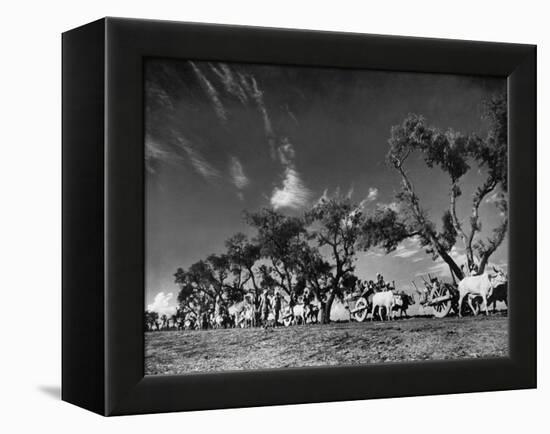 Sikhs Migrating to Hindu Section of Punjab After the Partitioning of India-Margaret Bourke-White-Framed Premier Image Canvas