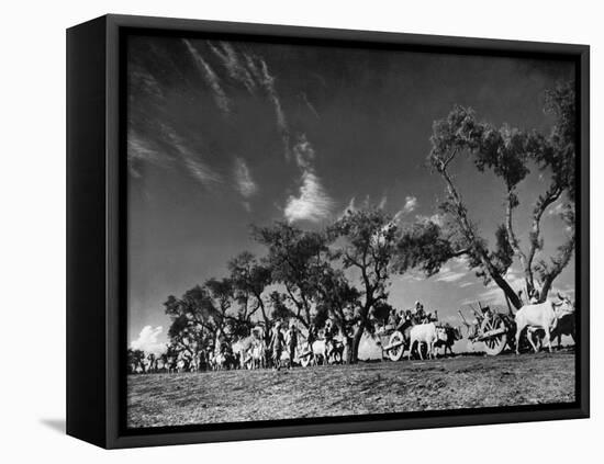 Sikhs Migrating to Hindu Section of Punjab After the Partitioning of India-Margaret Bourke-White-Framed Premier Image Canvas