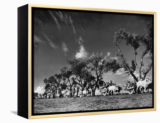 Sikhs Migrating to Hindu Section of Punjab After the Partitioning of India-Margaret Bourke-White-Framed Premier Image Canvas