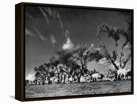 Sikhs Migrating to Hindu Section of Punjab After the Partitioning of India-Margaret Bourke-White-Framed Premier Image Canvas