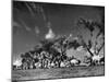 Sikhs Migrating to Hindu Section of Punjab After the Partitioning of India-Margaret Bourke-White-Mounted Photographic Print