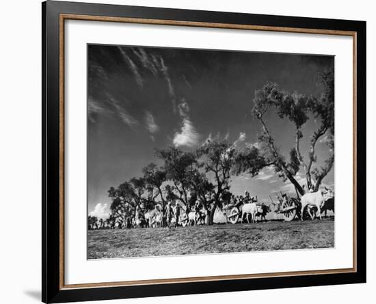 Sikhs Migrating to Hindu Section of Punjab After the Partitioning of India-Margaret Bourke-White-Framed Photographic Print