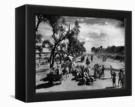 Sikhs Migrating to the Hindu Section of Punjab After the Division of India-Margaret Bourke-White-Framed Premier Image Canvas