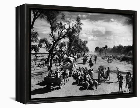 Sikhs Migrating to the Hindu Section of Punjab After the Division of India-Margaret Bourke-White-Framed Premier Image Canvas