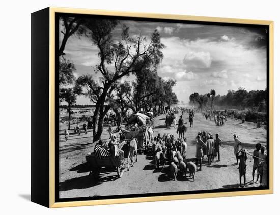 Sikhs Migrating to the Hindu Section of Punjab After the Division of India-Margaret Bourke-White-Framed Premier Image Canvas