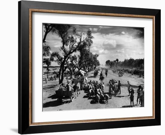 Sikhs Migrating to the Hindu Section of Punjab After the Division of India-Margaret Bourke-White-Framed Photographic Print