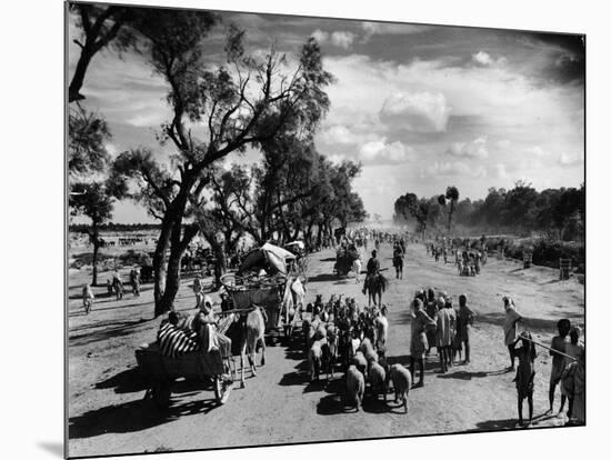 Sikhs Migrating to the Hindu Section of Punjab After the Division of India-Margaret Bourke-White-Mounted Photographic Print