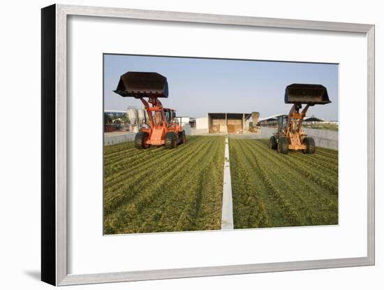 Silage-null-Framed Photographic Print