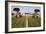 Silage-null-Framed Photographic Print
