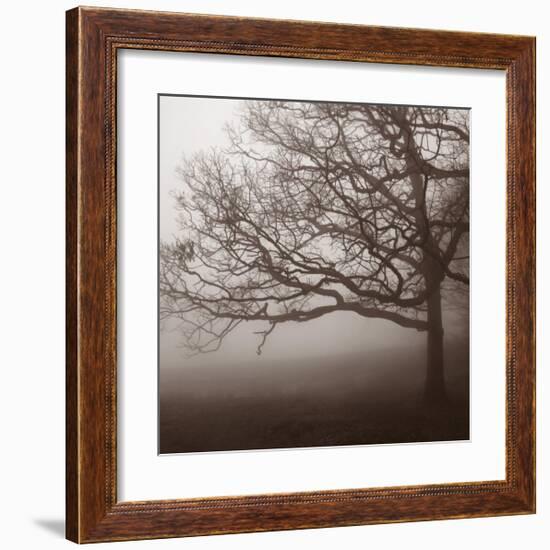 Silence-Erin Clark-Framed Art Print