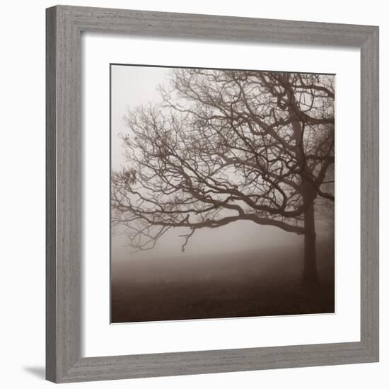 Silence-Erin Clark-Framed Art Print