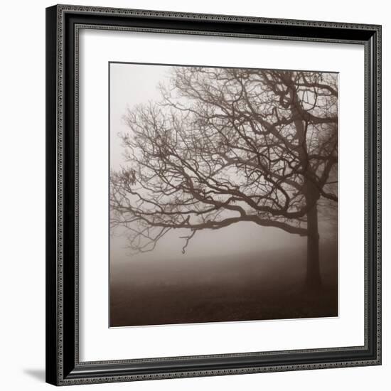 Silence-Erin Clark-Framed Art Print