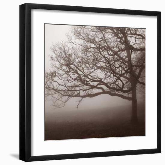 Silence-Erin Clark-Framed Art Print