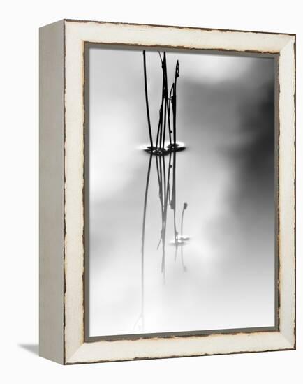Silence-Ursula Abresch-Framed Premier Image Canvas
