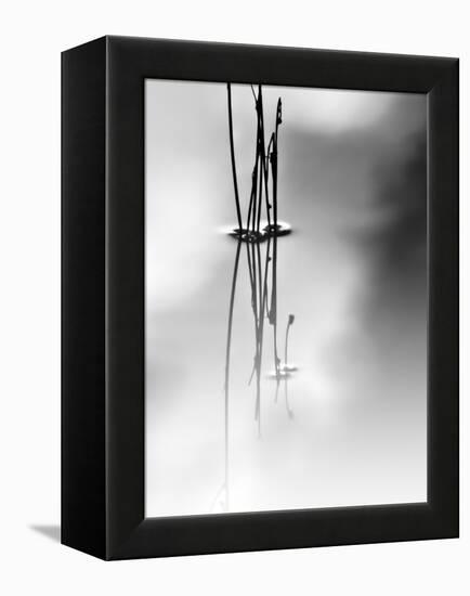 Silence-Ursula Abresch-Framed Premier Image Canvas