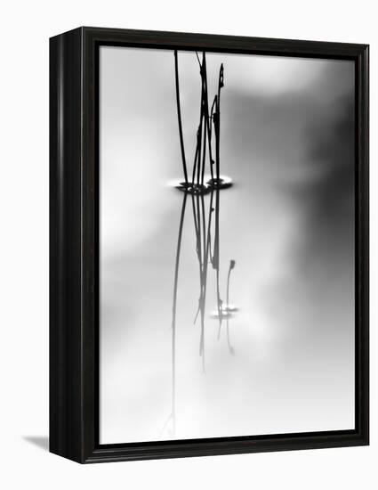 Silence-Ursula Abresch-Framed Premier Image Canvas