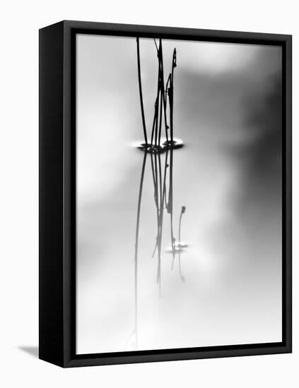 Silence-Ursula Abresch-Framed Premier Image Canvas