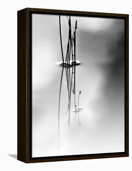 Silence-Ursula Abresch-Framed Premier Image Canvas