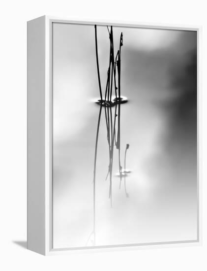 Silence-Ursula Abresch-Framed Premier Image Canvas