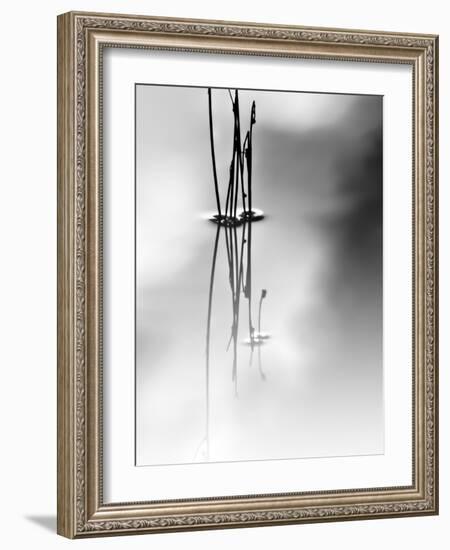 Silence-Ursula Abresch-Framed Photographic Print