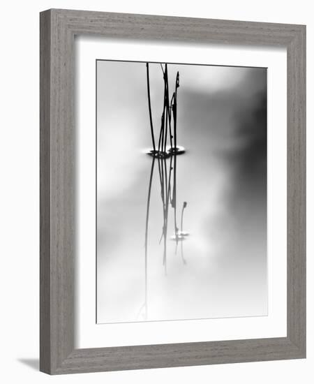 Silence-Ursula Abresch-Framed Photographic Print