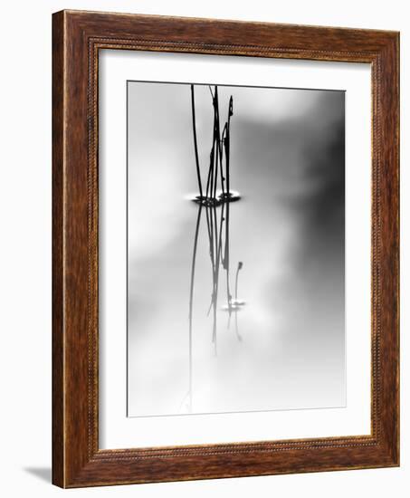 Silence-Ursula Abresch-Framed Photographic Print