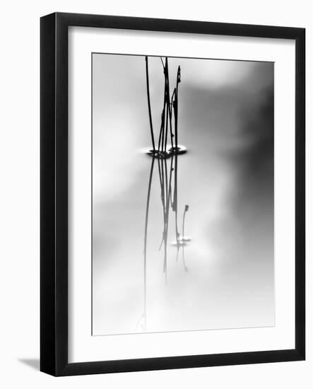 Silence-Ursula Abresch-Framed Photographic Print