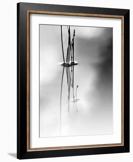 Silence-Ursula Abresch-Framed Photographic Print