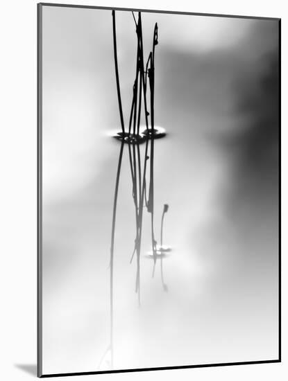 Silence-Ursula Abresch-Mounted Photographic Print