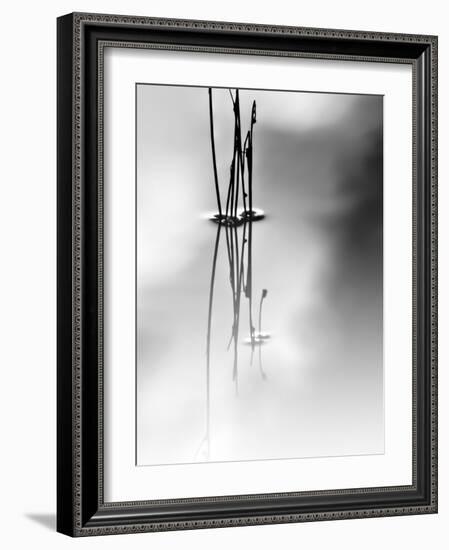 Silence-Ursula Abresch-Framed Photographic Print